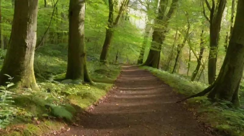 Bosque vibrante con vida y conservación