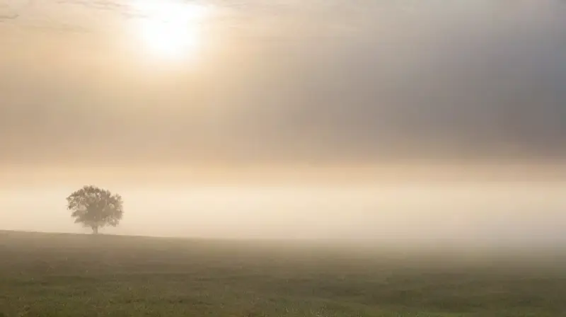 Un lienzo etéreo que evoca contemplación