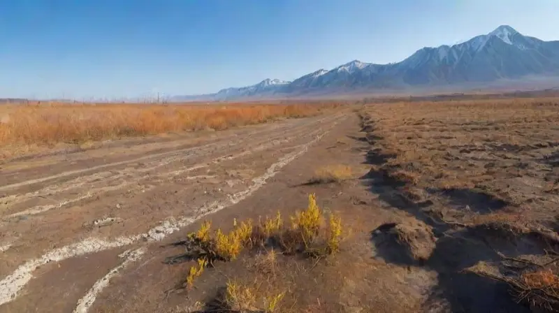 Desierto hermoso, humanidad luchando contra el cambio